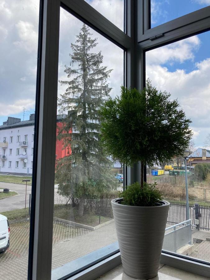 Apartament Miodowa 9 Zwierzyniec Ngoại thất bức ảnh